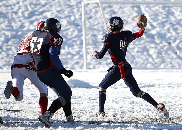 由式滑雪项 由式滑雪项