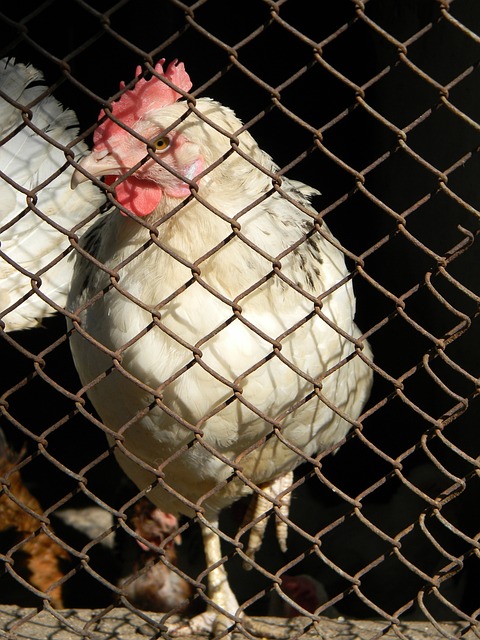 正体会到了 正体会到了