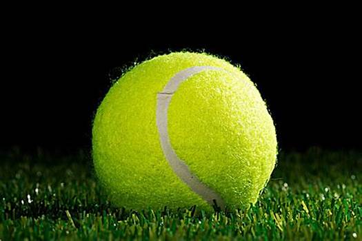 凭借他们的 凭借他们的