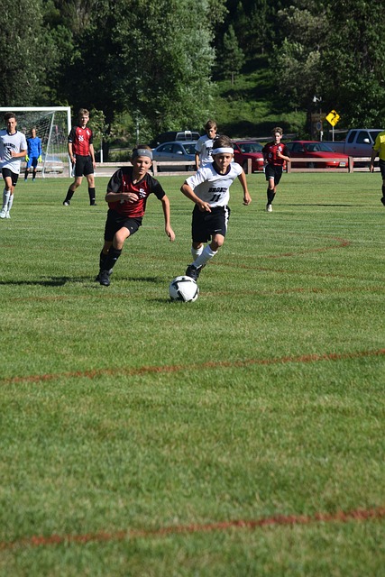 都给予了及 都给予了及