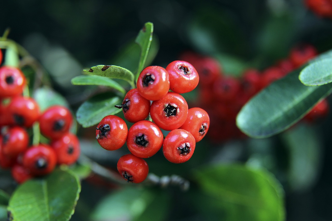 恩里克理论 恩里克理论